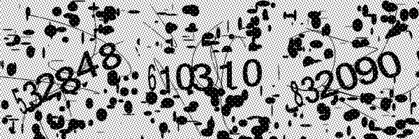 Please enable image downloads in your browser.